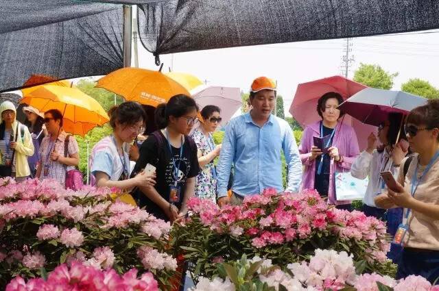 14957624857785108GtS.jpg 14957624857785108GtS.jpg